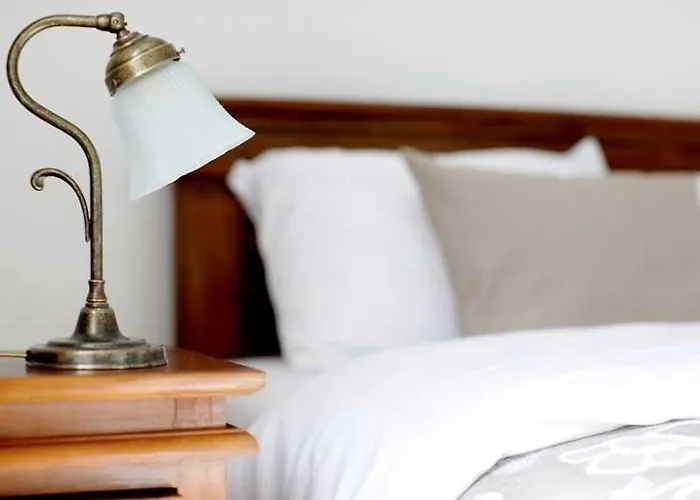 Bloom ليوبليانا